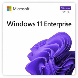 Windows 11 Enterprise Lizenz