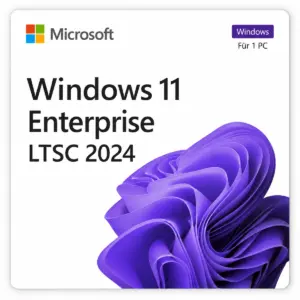 Windows 11 Enterprise LTSC 2024 Lizenz
