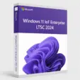 Windows 11 IoT Enterprise LTSC 2024 Lizenz Verpackung