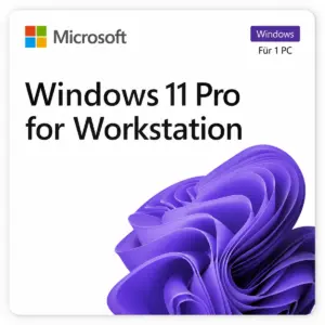 Windows 11 Pro for Workstations Lizenz
